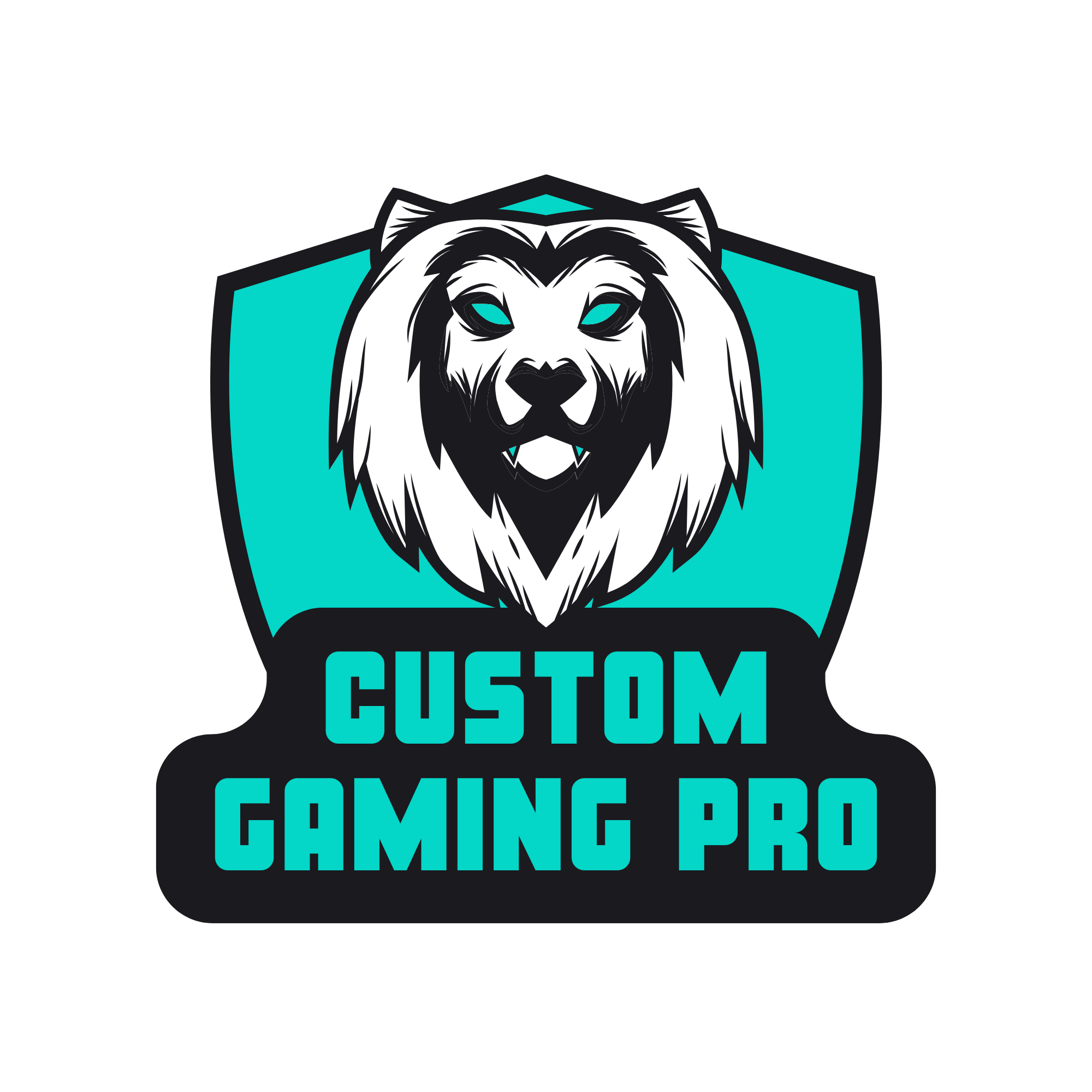 CUSTOM GAMING PRO