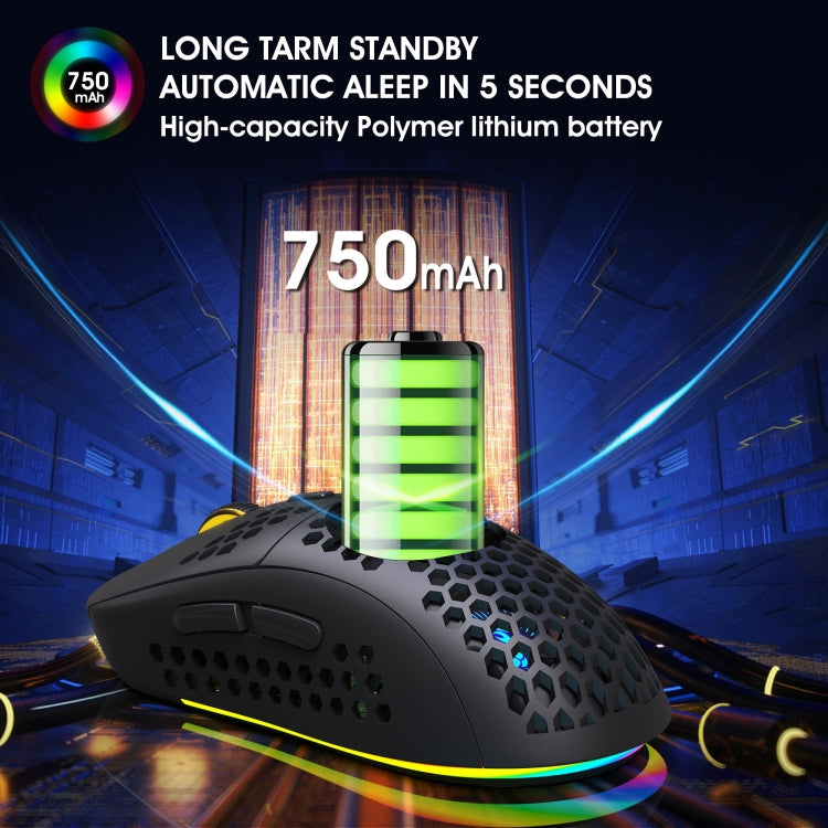 Souris gaming sans fil HXSJ T90 RGB - Performance optimale