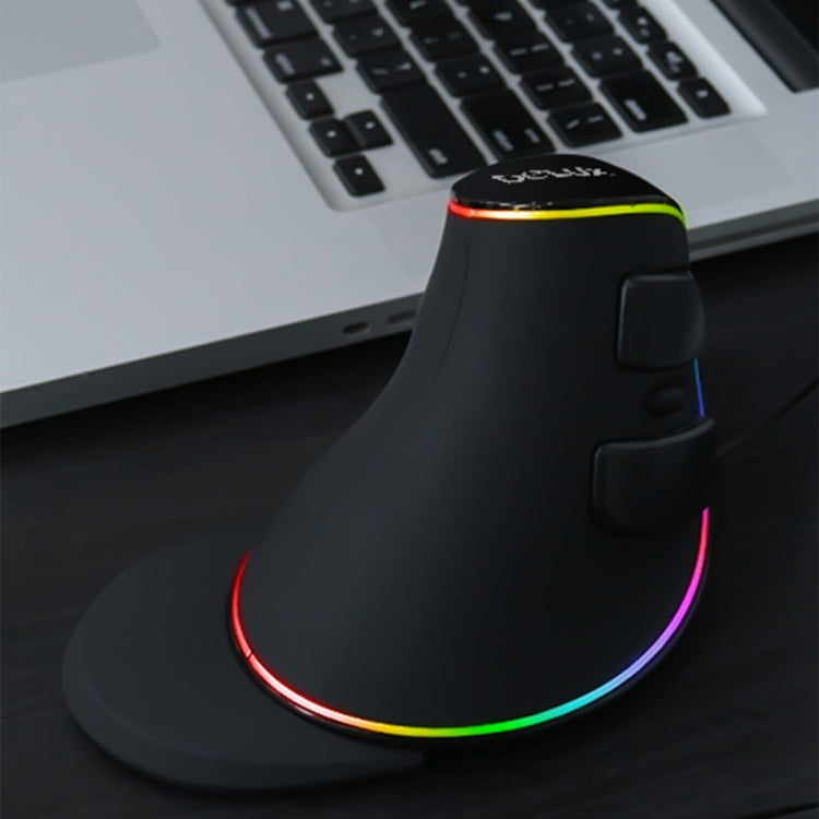 Souris Gaming Ergonomique DELUX M618 Plus RGB 4000DPI