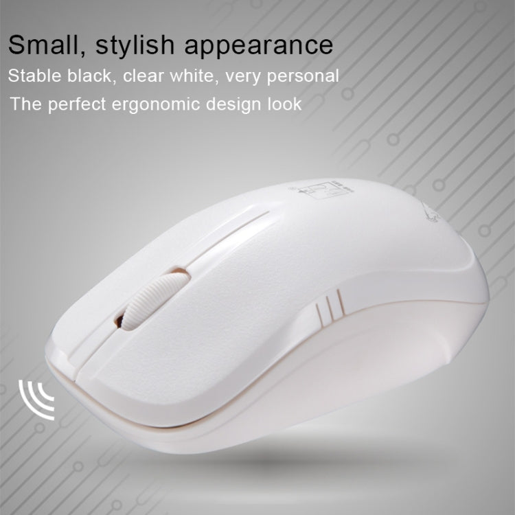 ZGB 101B Professional Wireless Mouse for PC and Gaming