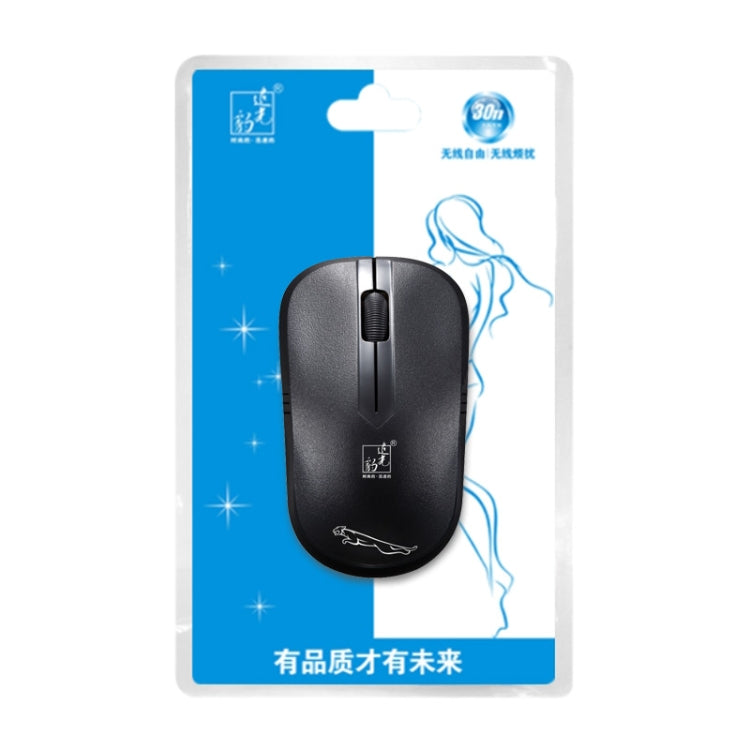 ZGB 101B Professional Wireless Mouse for PC and Gaming