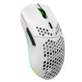HXSJ T66 Wireless Gaming Mouse - Colorful Lighting and