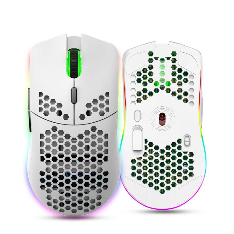 HXSJ T66 Wireless Gaming Mouse - Colorful Lighting and