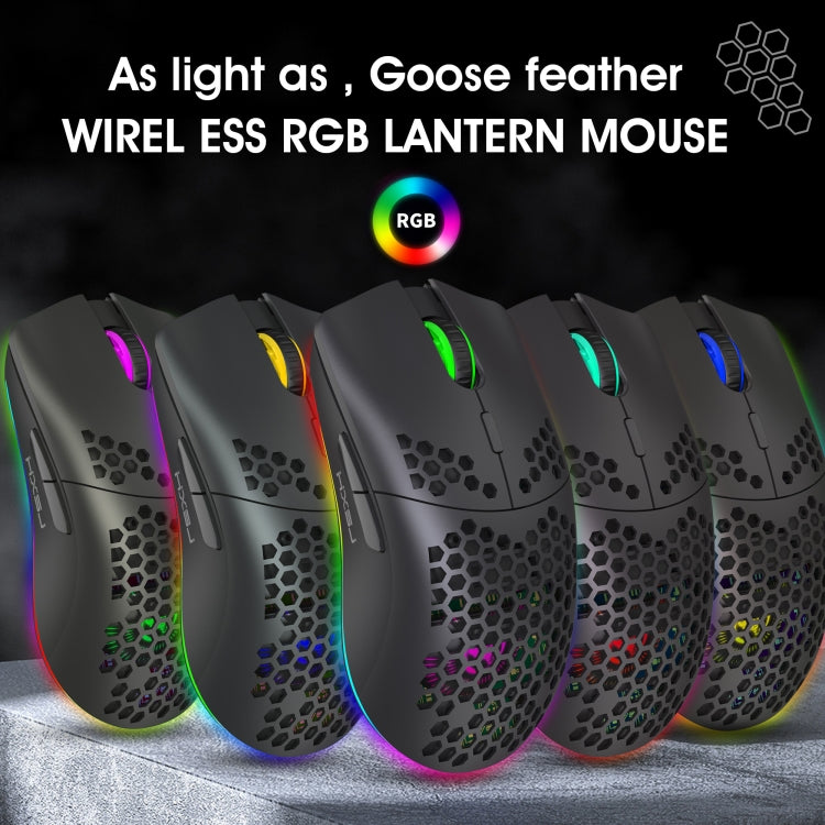 HXSJ T66 Wireless Gaming Mouse - Colorful Lighting and