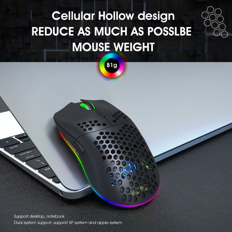 HXSJ T66 Wireless Gaming Mouse - Colorful Lighting and