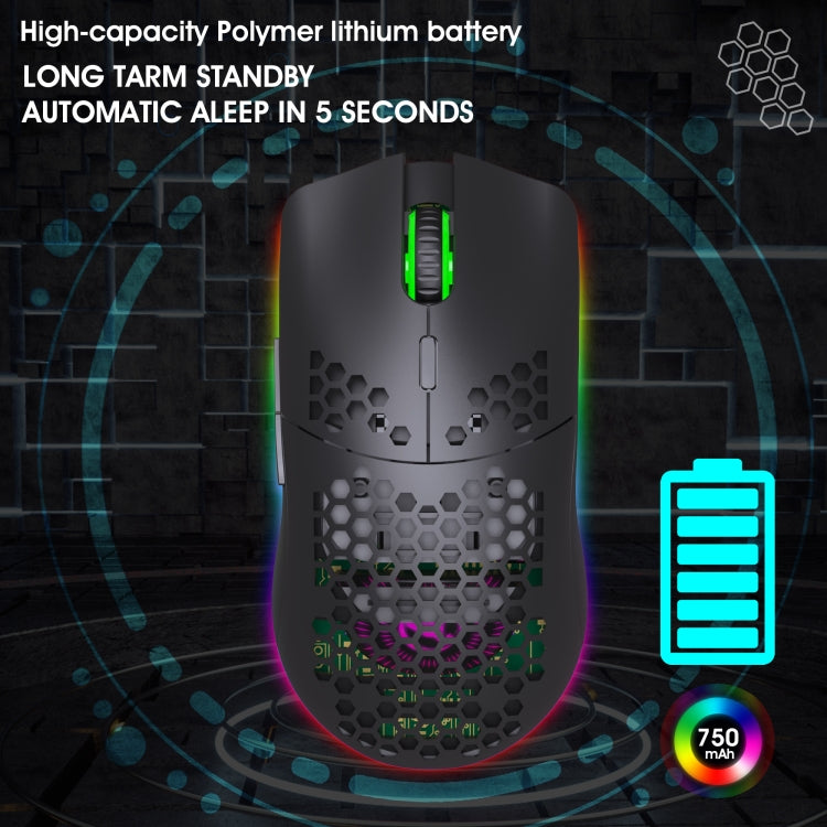 HXSJ T66 Wireless Gaming Mouse - Colorful Lighting and