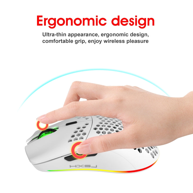 HXSJ T66 Wireless Gaming Mouse - Colorful Lighting and