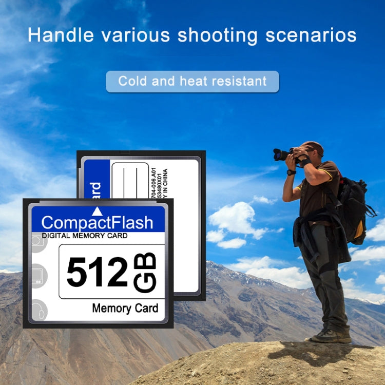 Carte Compact Flash 512 Mo - Accessoire Gaming PC Optimal