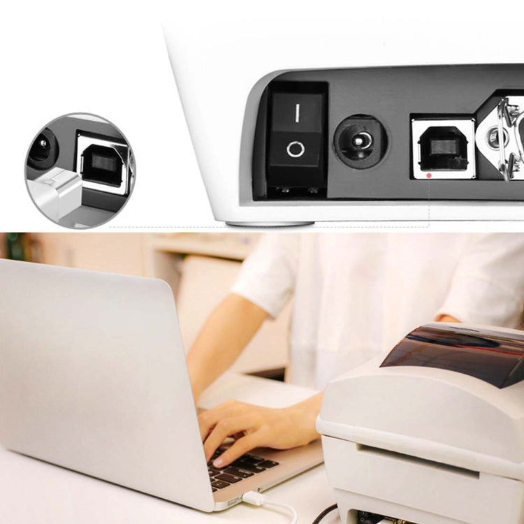 Câble USB B 50 cm pour imprimante - Accessoire PC essentiel