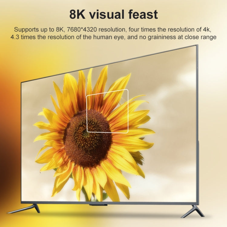 Mini DisplayPort to DisplayPort 8K Adapter for Gaming