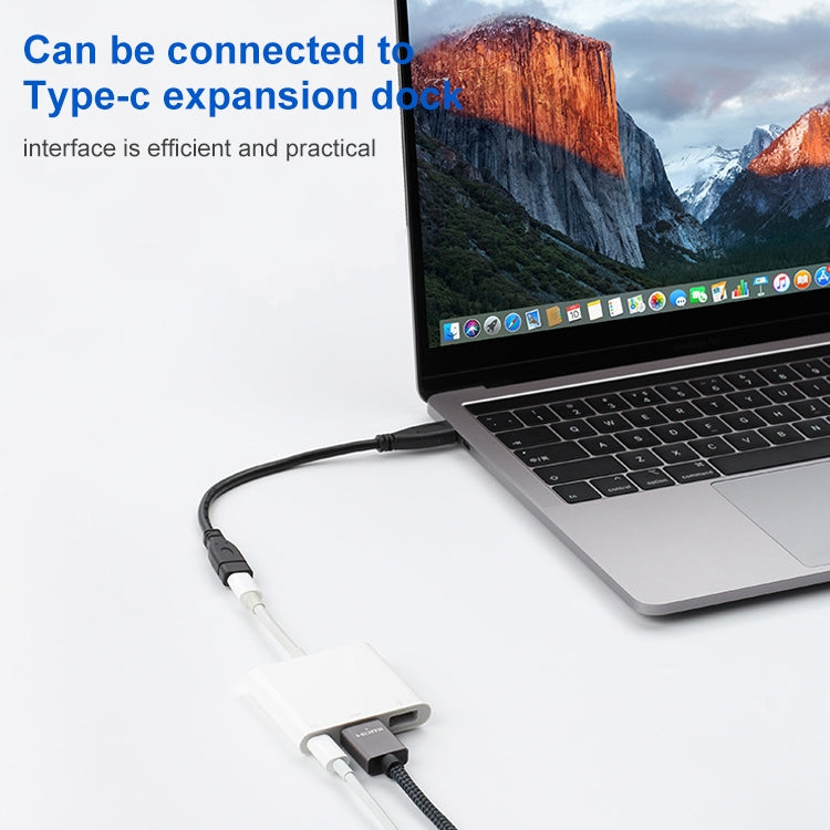 Câble USB-C 3.1 Adaptateur 20 cm pour Gaming et PC