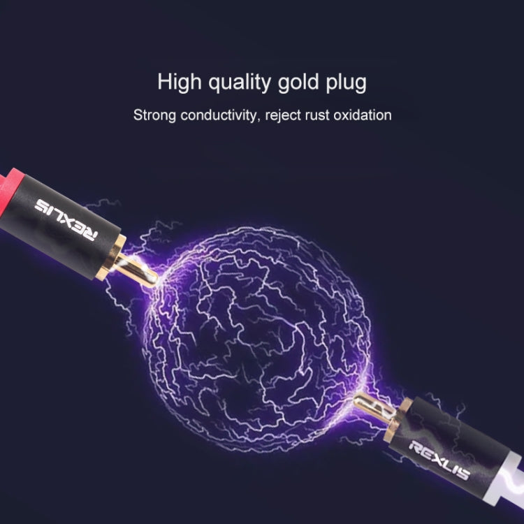 Câble audio RCA 10m tressé pour PC et haut-parleurs actifs