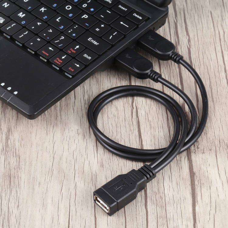 Câble USB femelle vers 2 mâles - Accessoire Gaming 30 cm