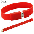 Disque USB 2.0 2 Go : Accessoire pratique pour gamers