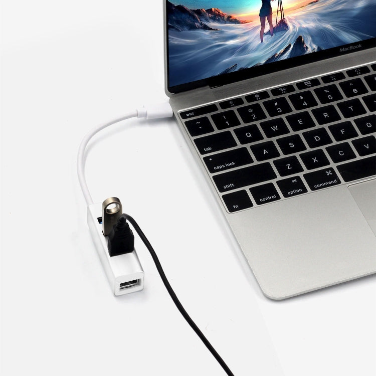 Portable USB-C / Type-C Male to 4-Port USB Female HUB Adapter, 4 USB Ports (White)